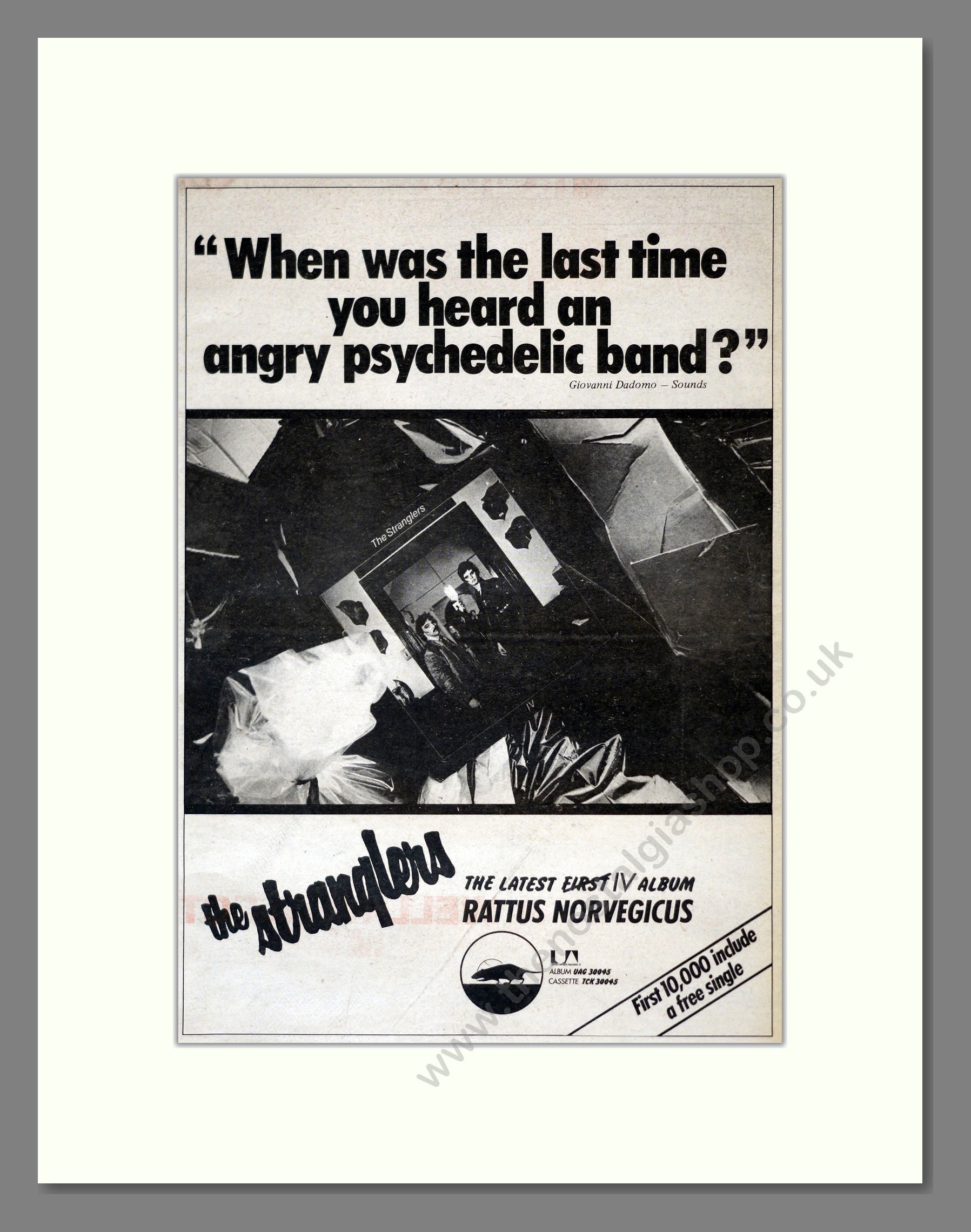 Stranglers (The) - Rattus Norvegicus. Vintage Advert 1977 (ref AD17809)