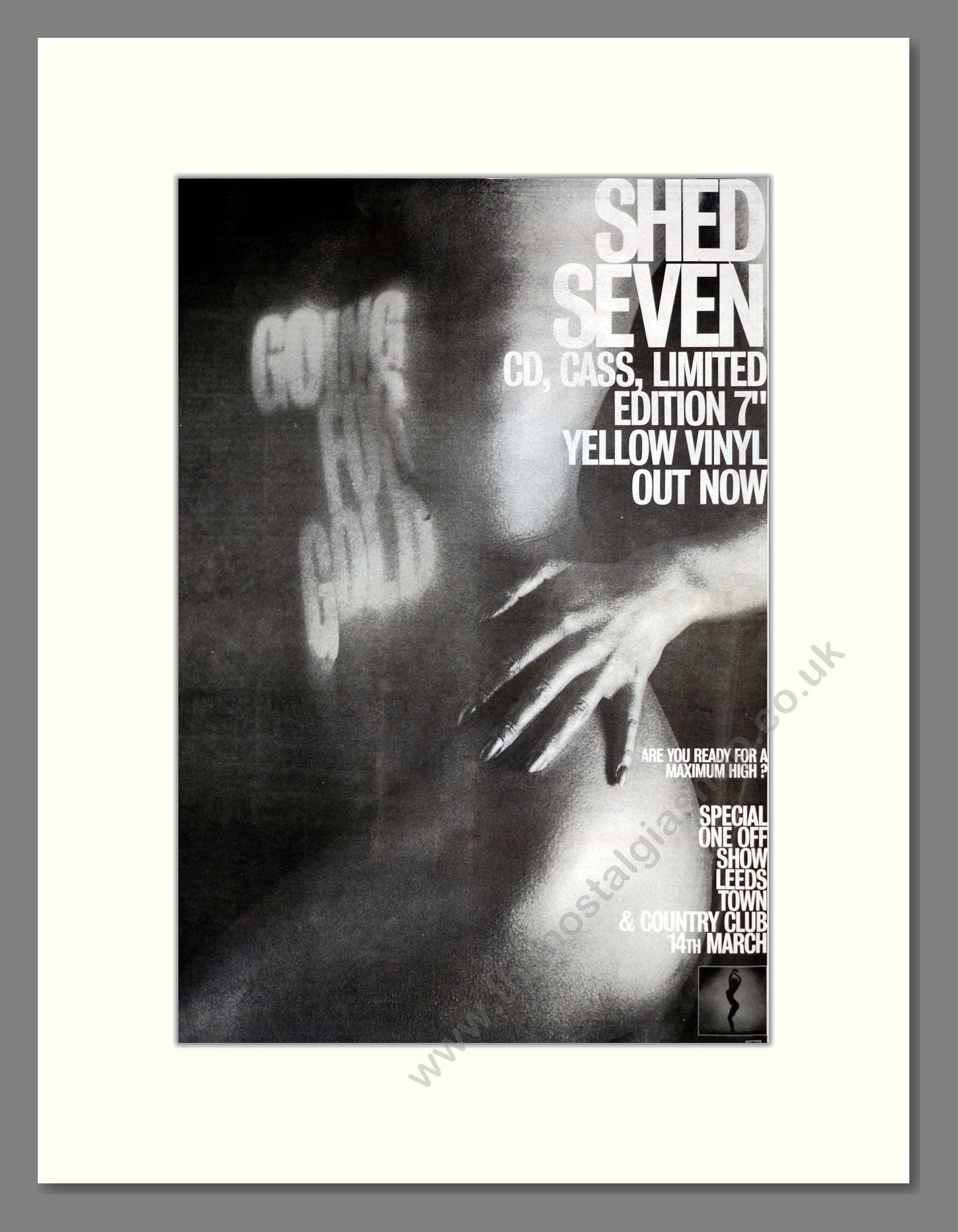 Shed Seven - Going For Gold. Vintage Advert 1996 (ref AD17828)