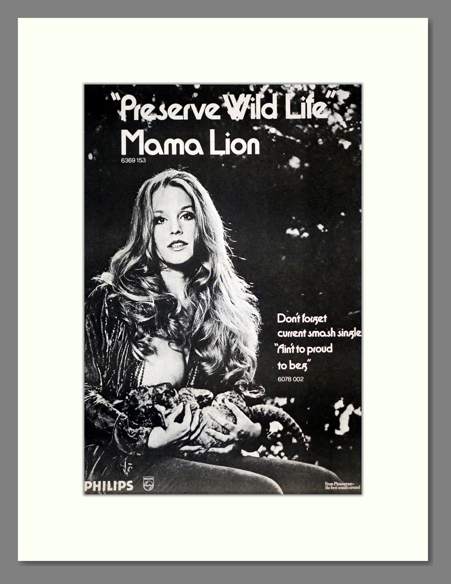 Mama Lion - Preserve Wild Life. Vintage Advert 1972 (ref AD17928)