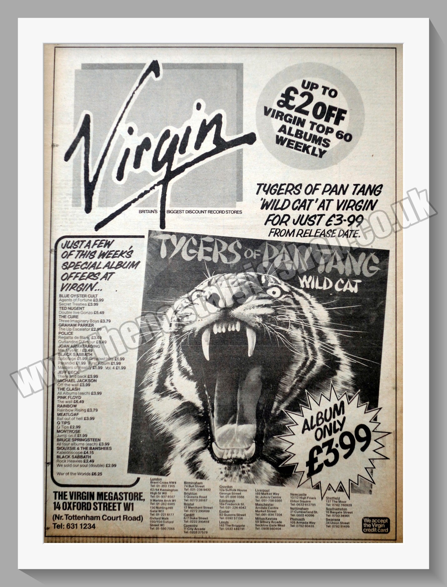 Tygers Of Pan Tang. Wild Cat. Original Advert 1980 (ref AD14262)