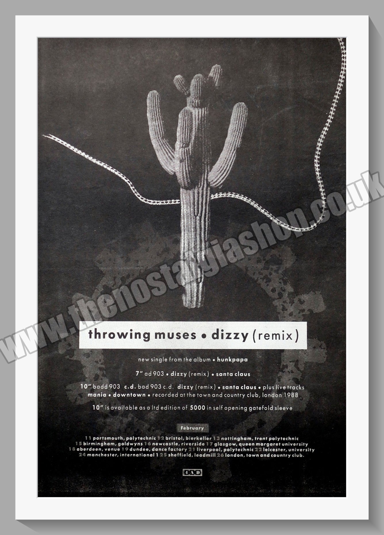 Throwing Muses. Dizzy. UK Tour. Original Advert 1989 (ref AD14272)