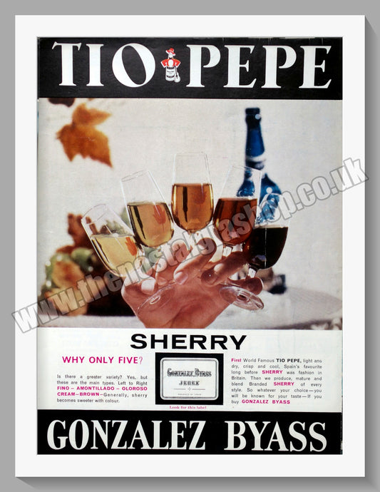 Gonzalez Byass. Tio Pepe Sherry. Original Advert 1966 (ref AD300240)