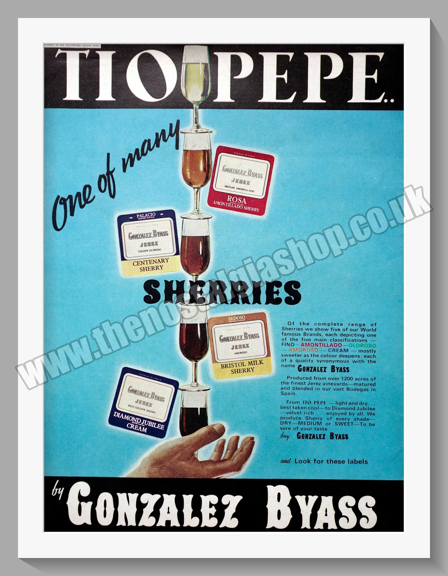 Gonzalez Byass. Tio Pepe Sherry. Original Advert 1968 (ref AD300243)